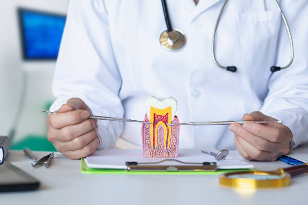 Best Emergency Root Canal Treatment in Rush City, MN